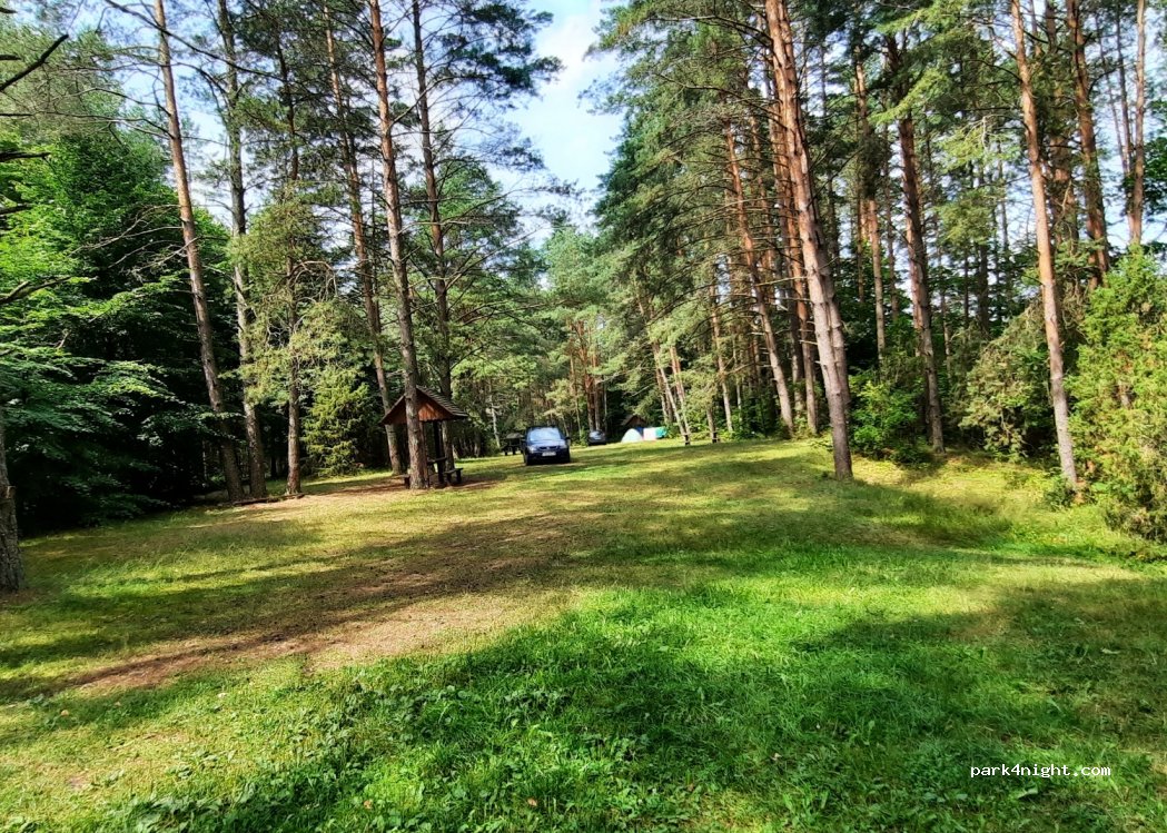 (16-326) Perkuć - Droga Wojewódzka 672 — foto 2