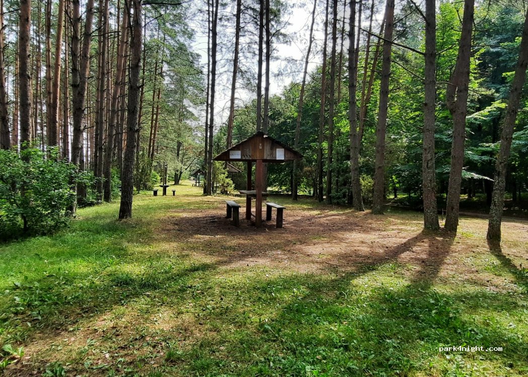 (16-326) Perkuć - Droga Wojewódzka 672 — foto 3