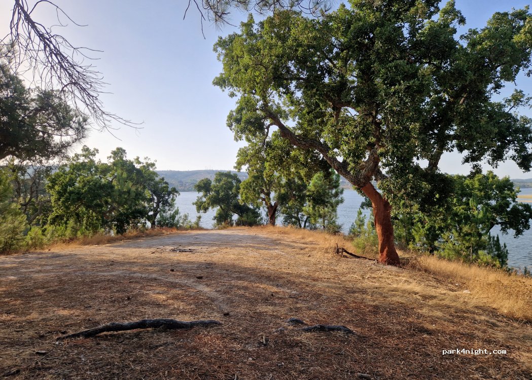 (7425) Montargil - Unnamed Road — foto 3