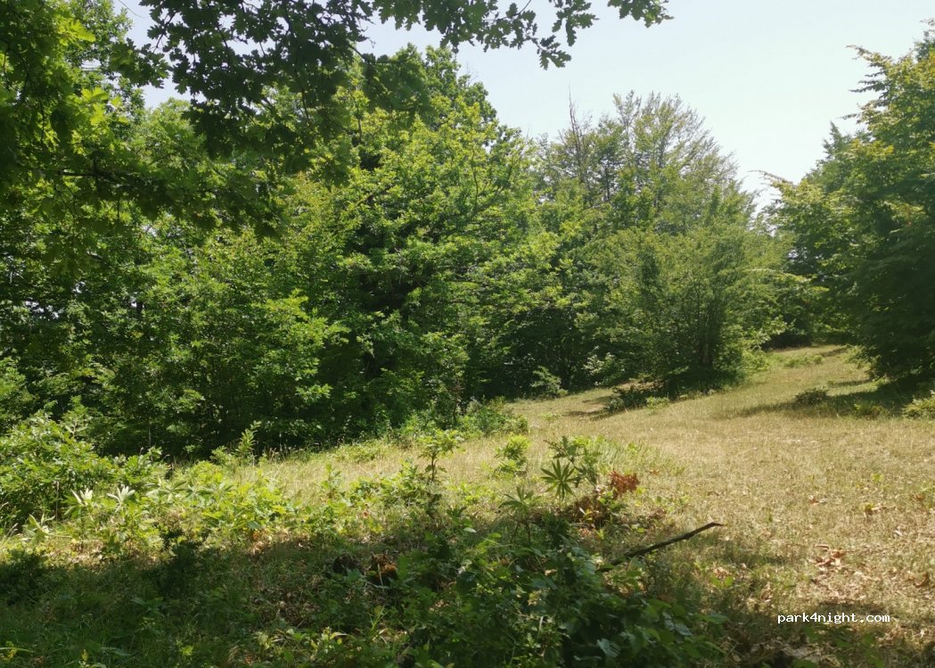 () Gradeljina - Unnamed Road — foto 2