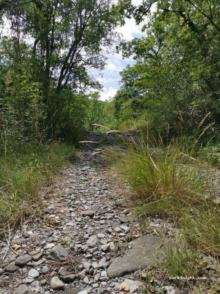 (42030) Palanzano - Unnamed Road — foto 2