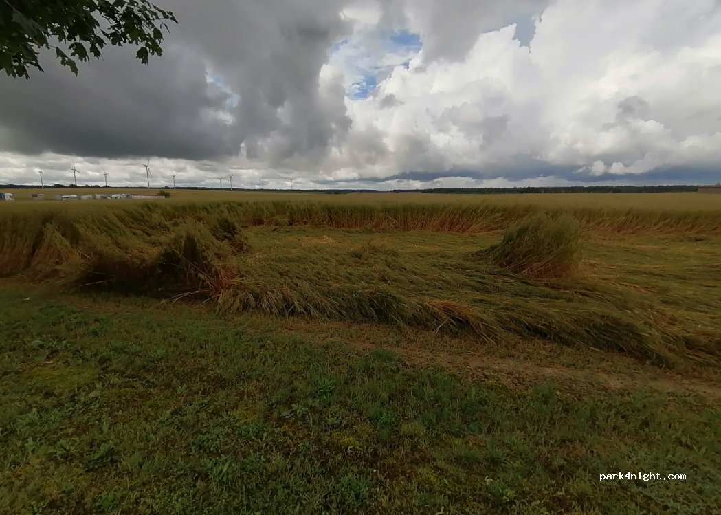 (89800) Lichères-près-Aigremont - 26 Route de Chablis — foto 4