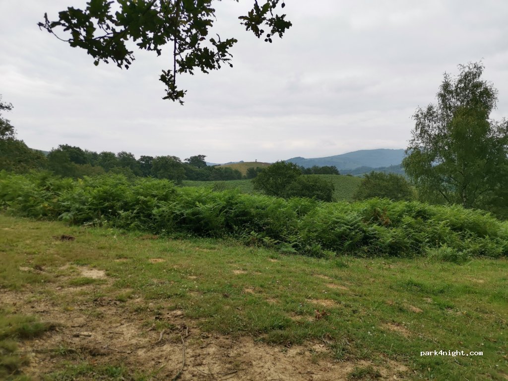 (64570) Ance Féas - Route de Narbe — foto