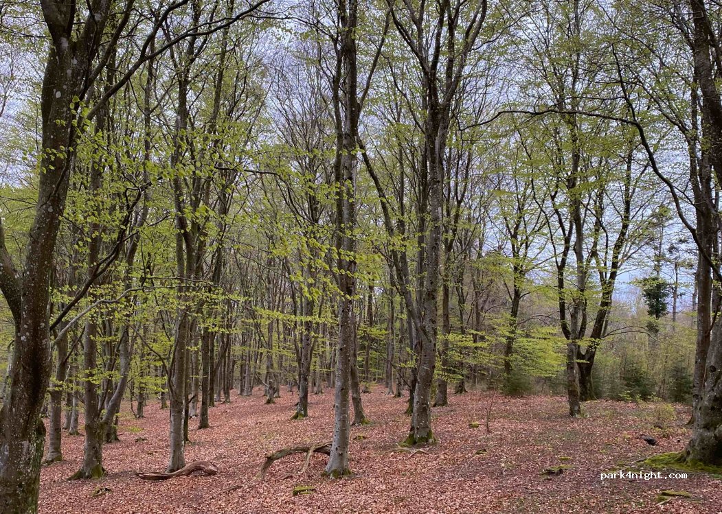 (9460) Brovst - 38 Fosdalvej — foto 2