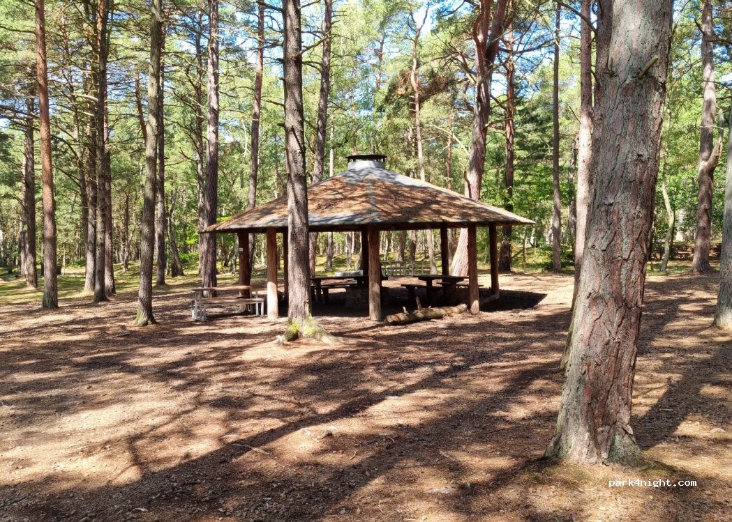 (3700) Rønne - Haslevej — foto 4