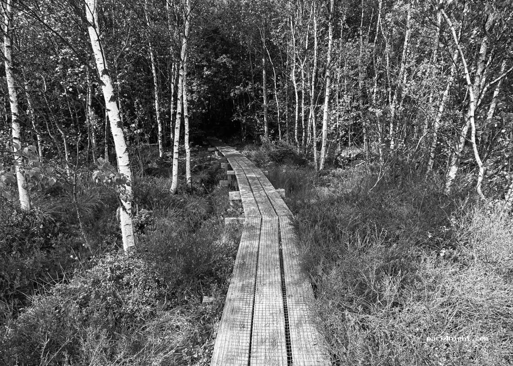 (343 90) Älmhult - 1847 LÅKAN — foto 5