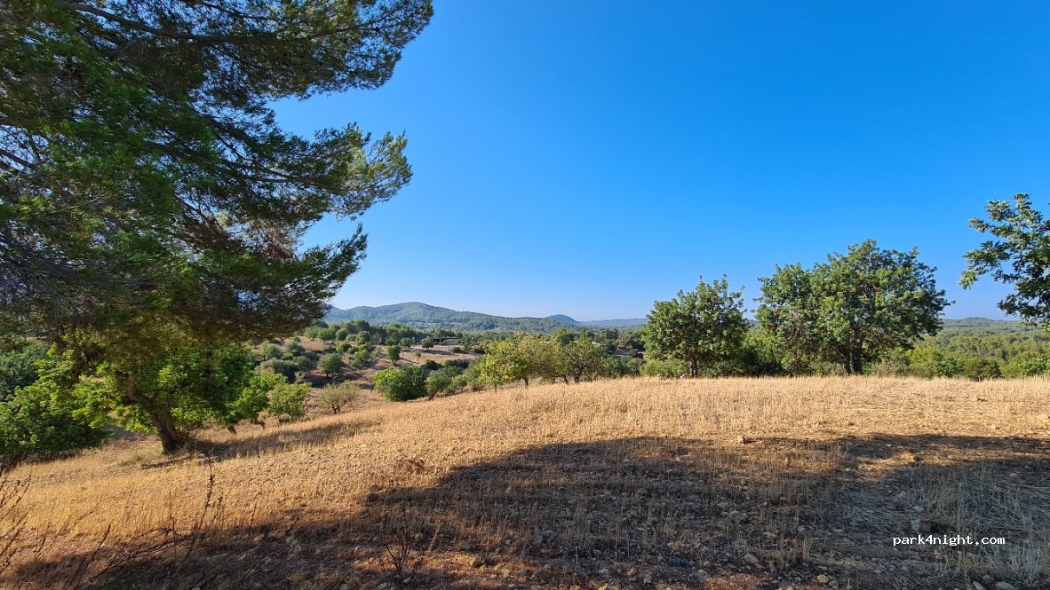(07184) Calvià - 332 Carretera Plana — foto