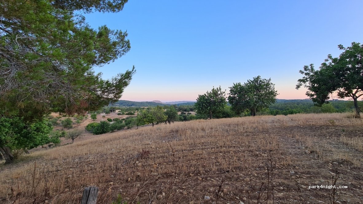(07184) Calvià - 332 Carretera Plana — foto 3