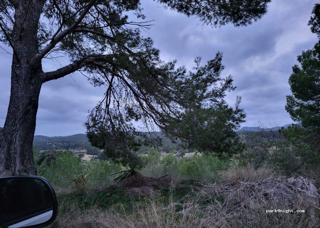 (07184) Calvià - 332 Carretera Plana — foto 4