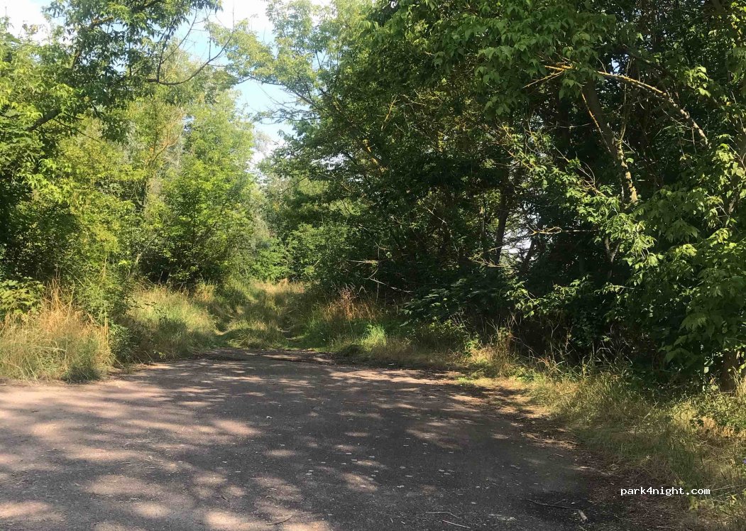 (06773) Gräfenhainichen - 95 Rudolf-Breitscheid-Straße — foto