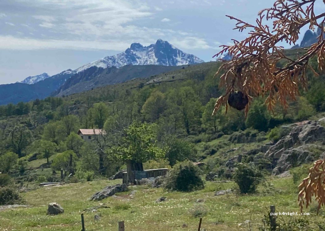 Camping l'Arimone — foto 4