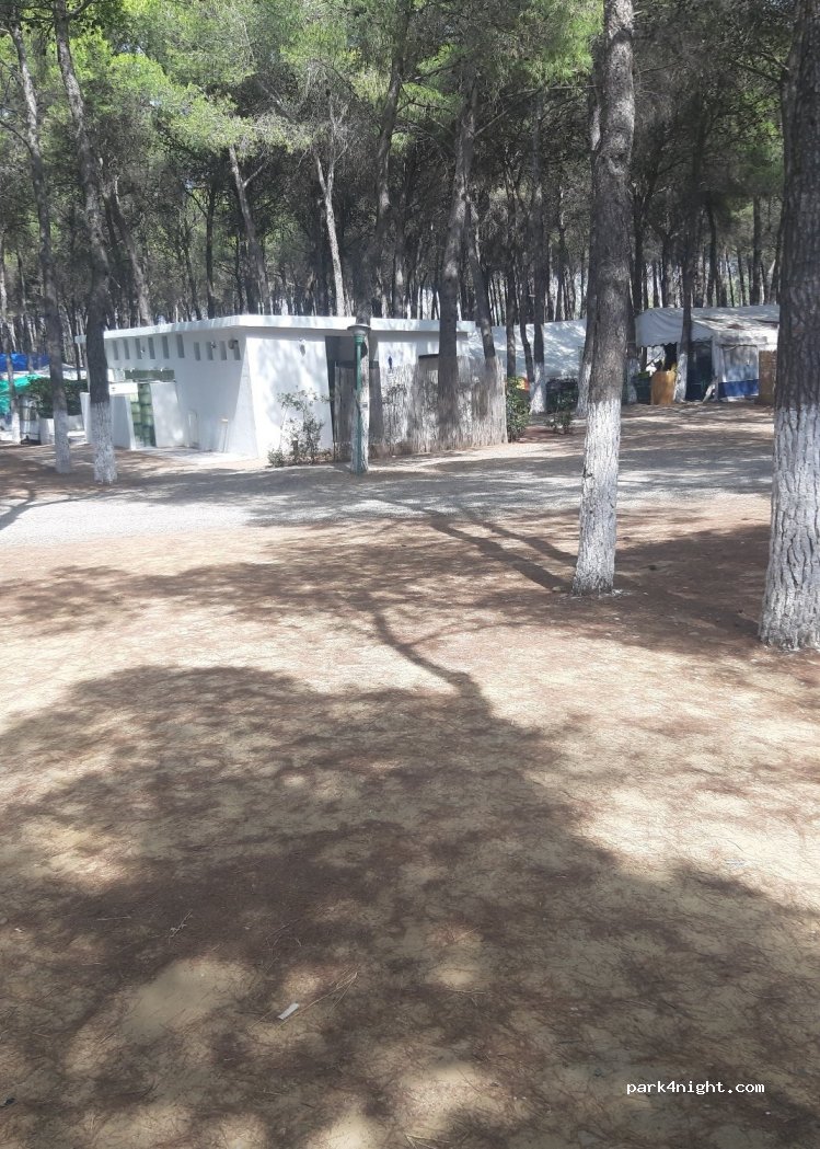 Camping Julia S.r.l. — foto