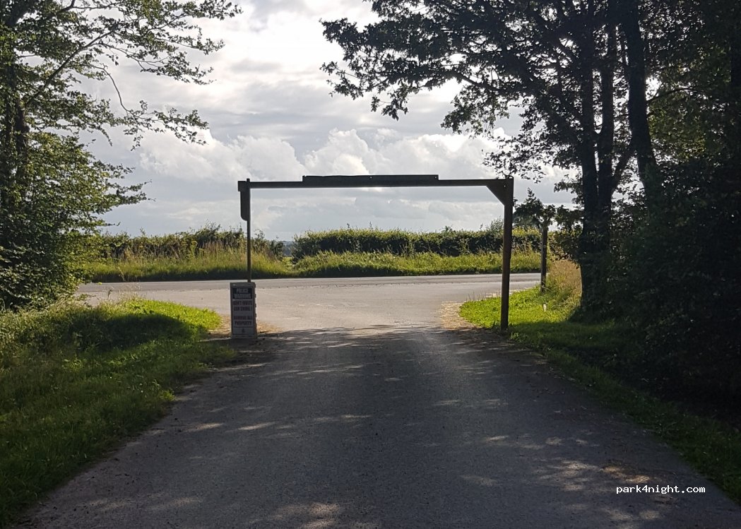 (TA20 3RA) Birch Wood - Farm Lane — foto