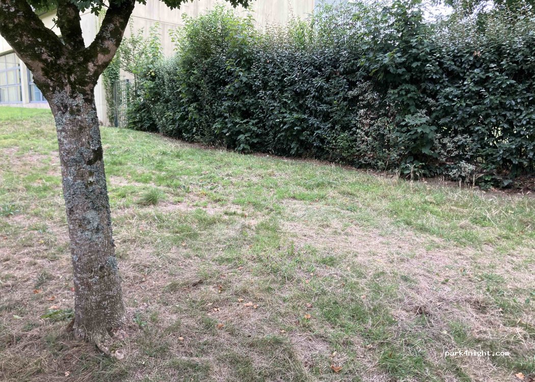 (29400) Landivisiau - Rue de mestual — foto 2