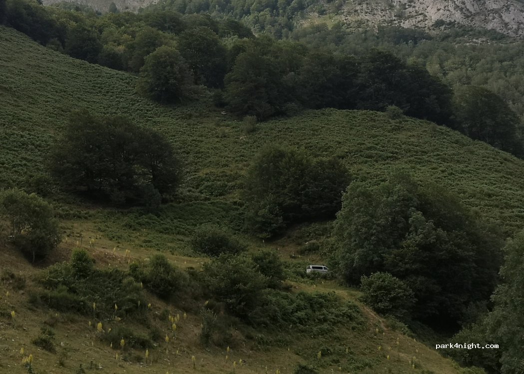 (64490) Borce - Unnamed Road — foto