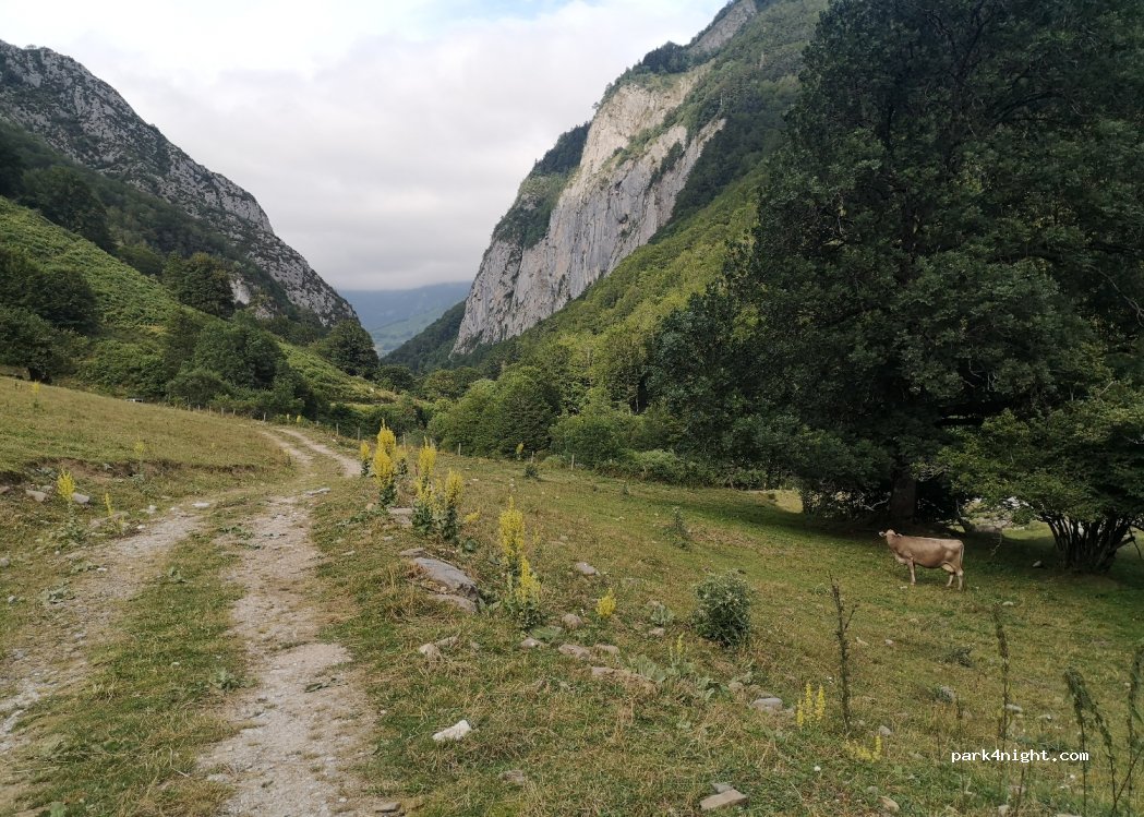 (64490) Borce - Unnamed Road — foto 2
