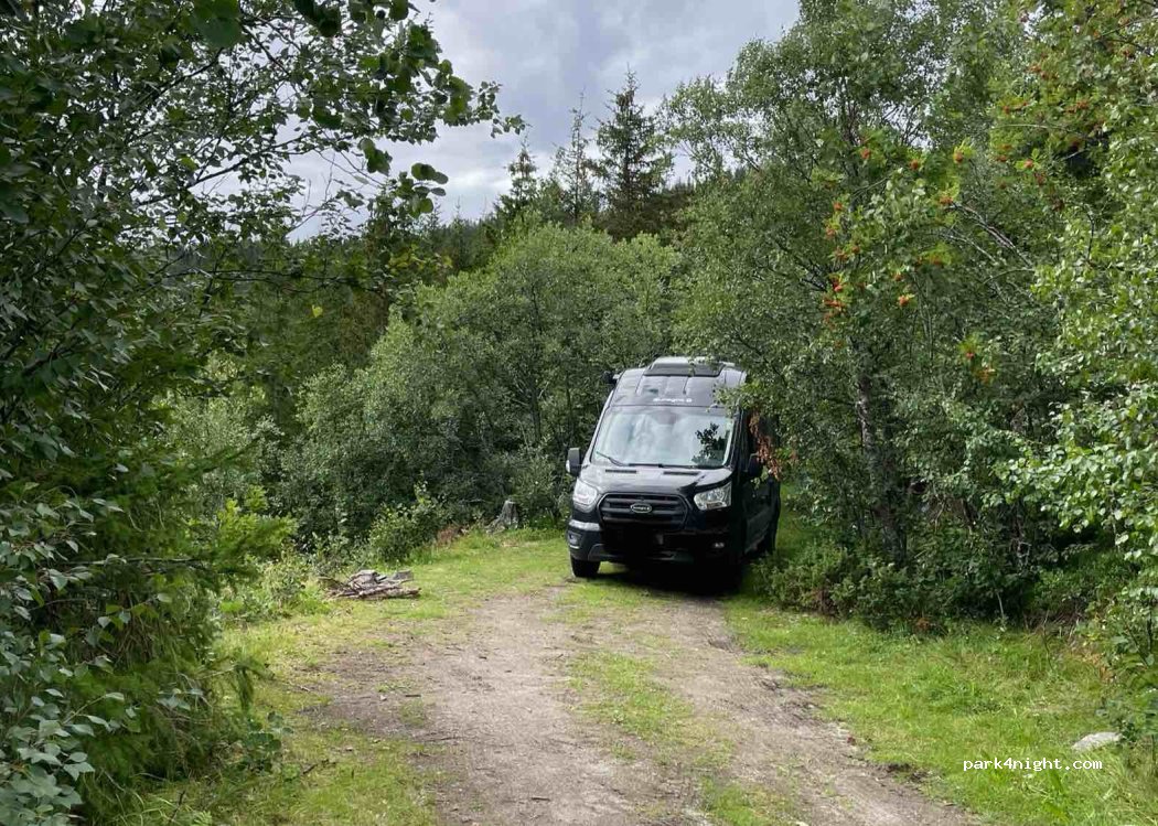 (8642) Finneidfjord - 1 Primær Fylkesveg 808 — foto 4