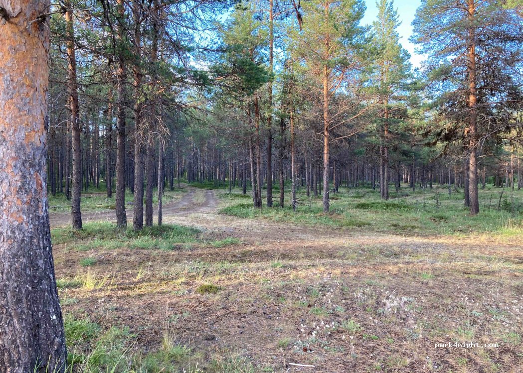 (93850) Kuusamo - 124 Jäkälämutkantie — foto 2