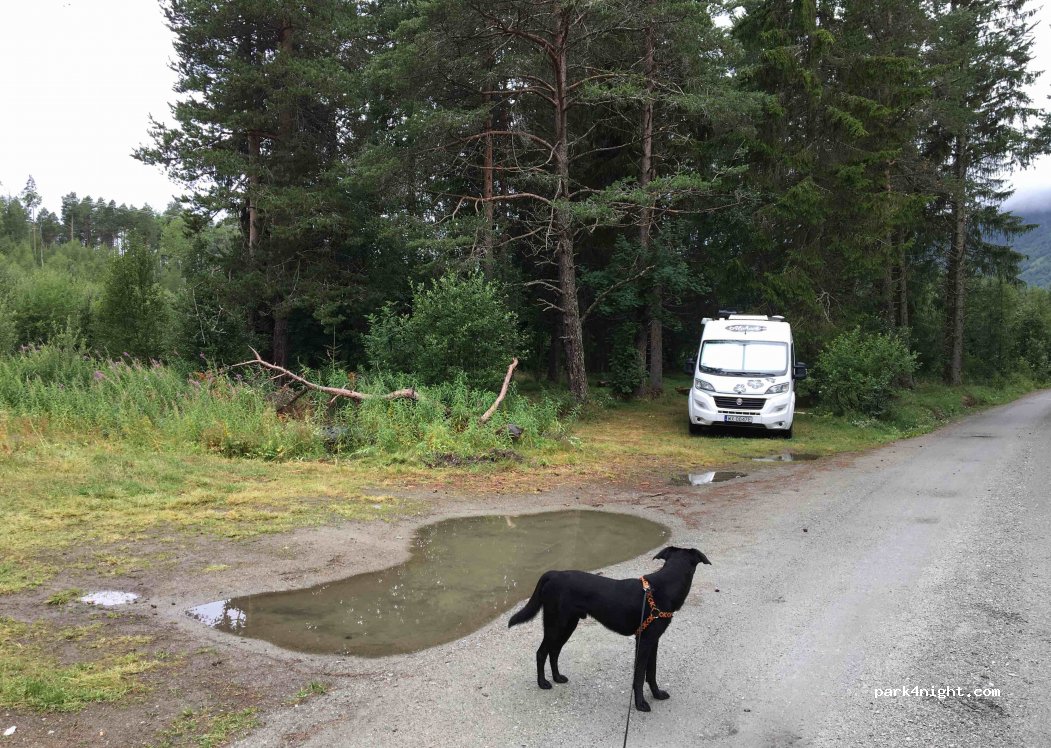 (3577) Hol - 124 Skytebane — foto 2