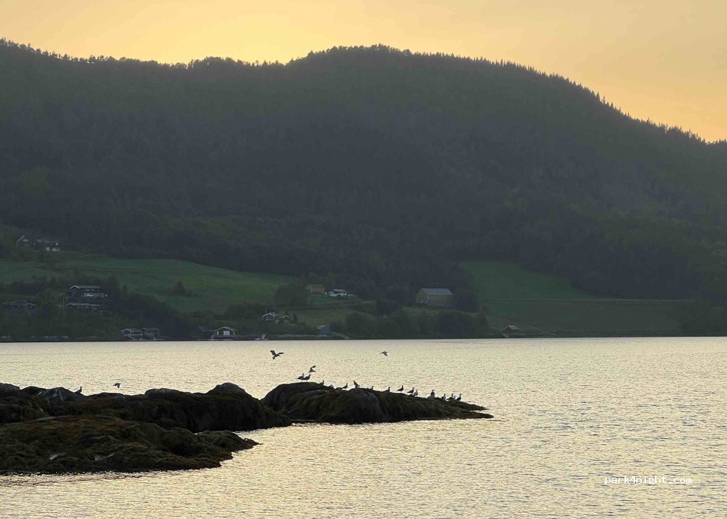 Bergtun Forsamlingshus — foto 4