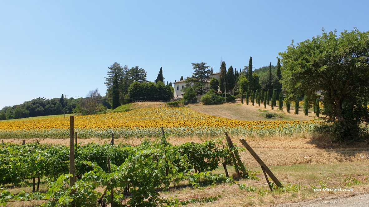 (52037) Sansepolcro - — foto