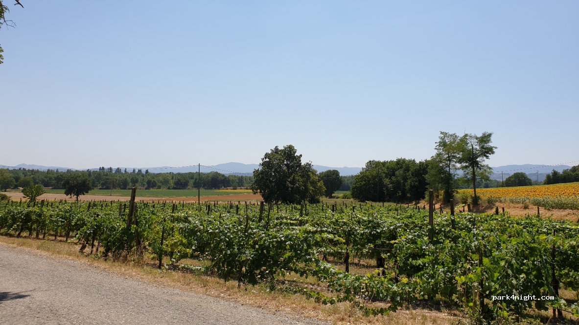 (52037) Sansepolcro - — foto 2