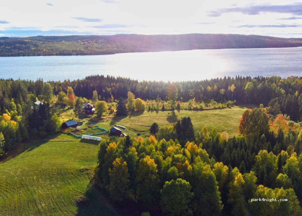Woodland Farm — foto