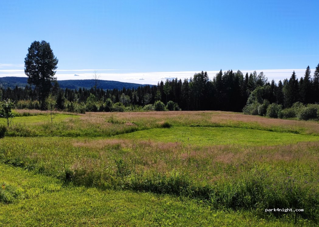 Woodland Farm — foto 2