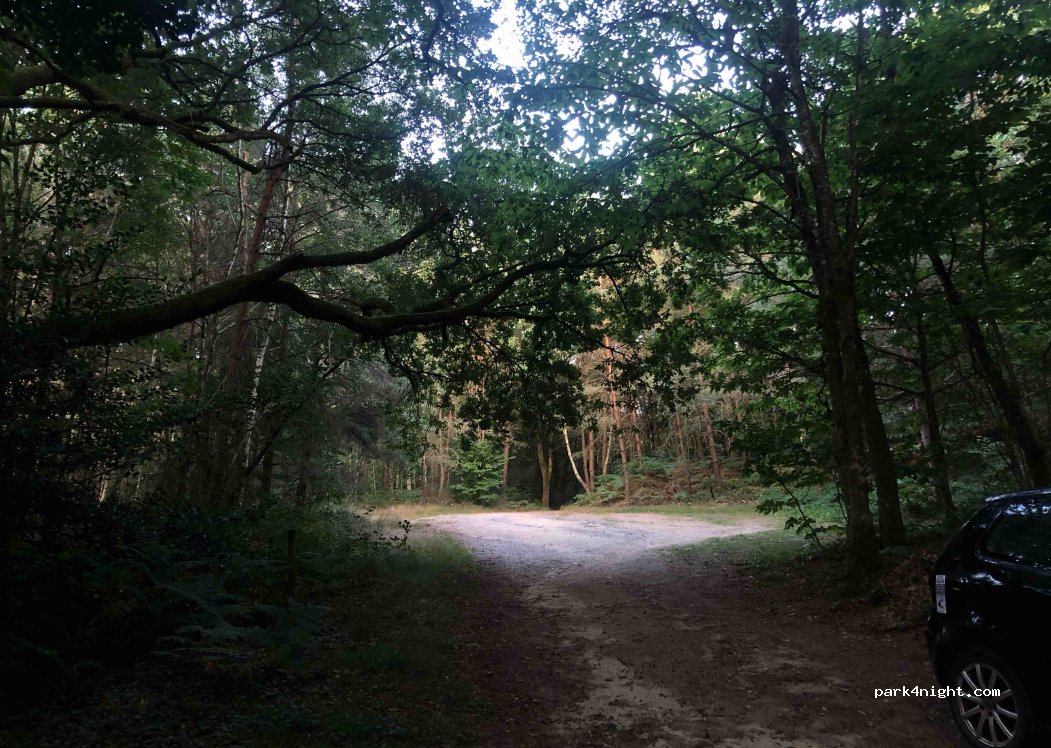 (87140) Saint-Pardoux-le-Lac - — foto