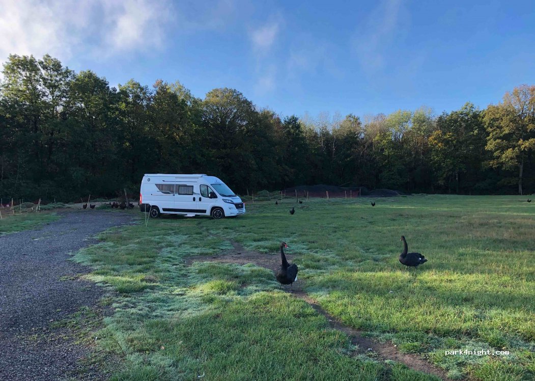 Ferme des 4 étoiles — foto 3