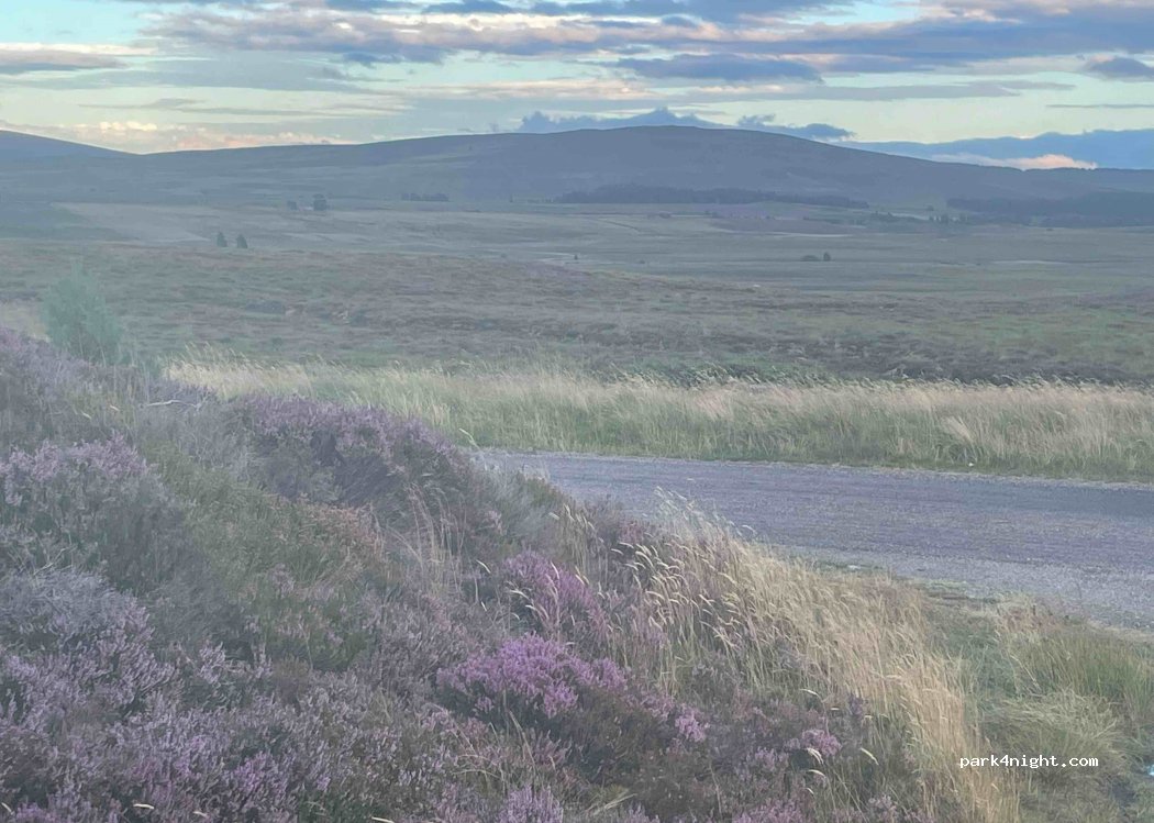 (PH26 3P) Dulnain Bridge - Unnamed Road — foto 2