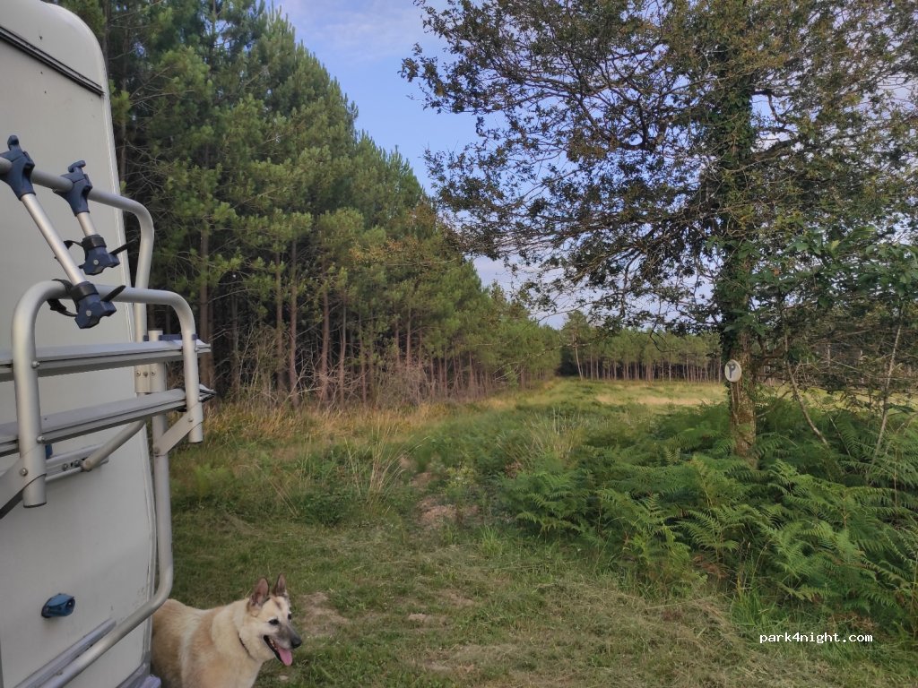 (24490) La Roche-Chalais - Unnamed Road — foto