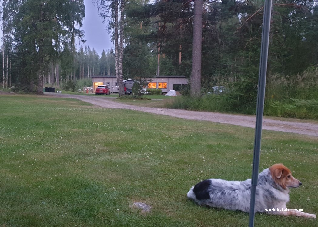 Tampinmylly camping — foto 5