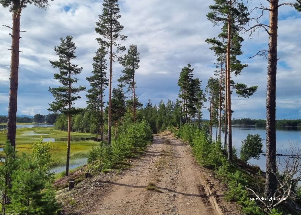 (780 64)  - Unnamed Road — foto 2