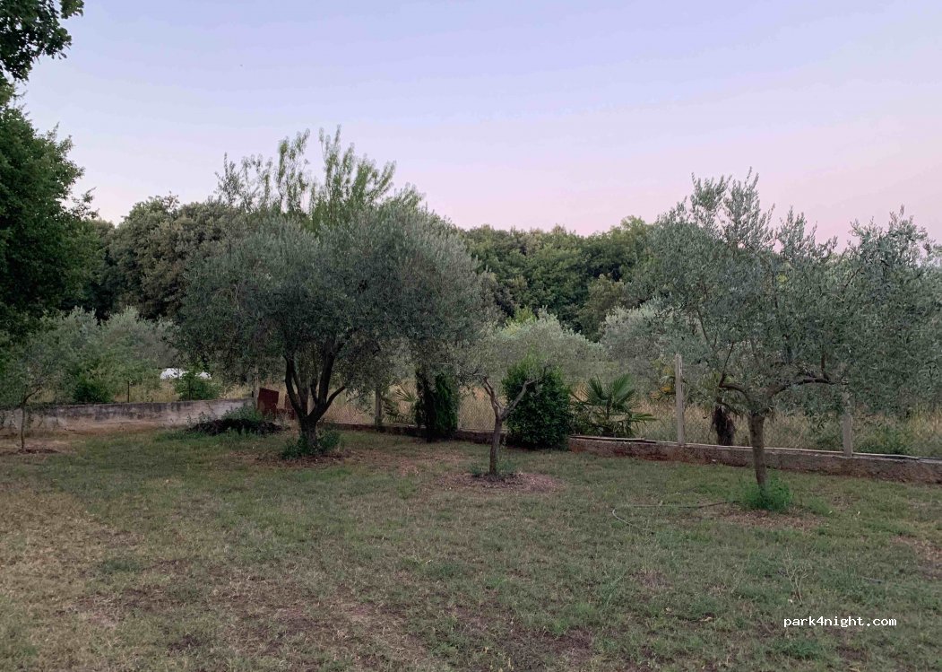 Kamp Karlo — foto