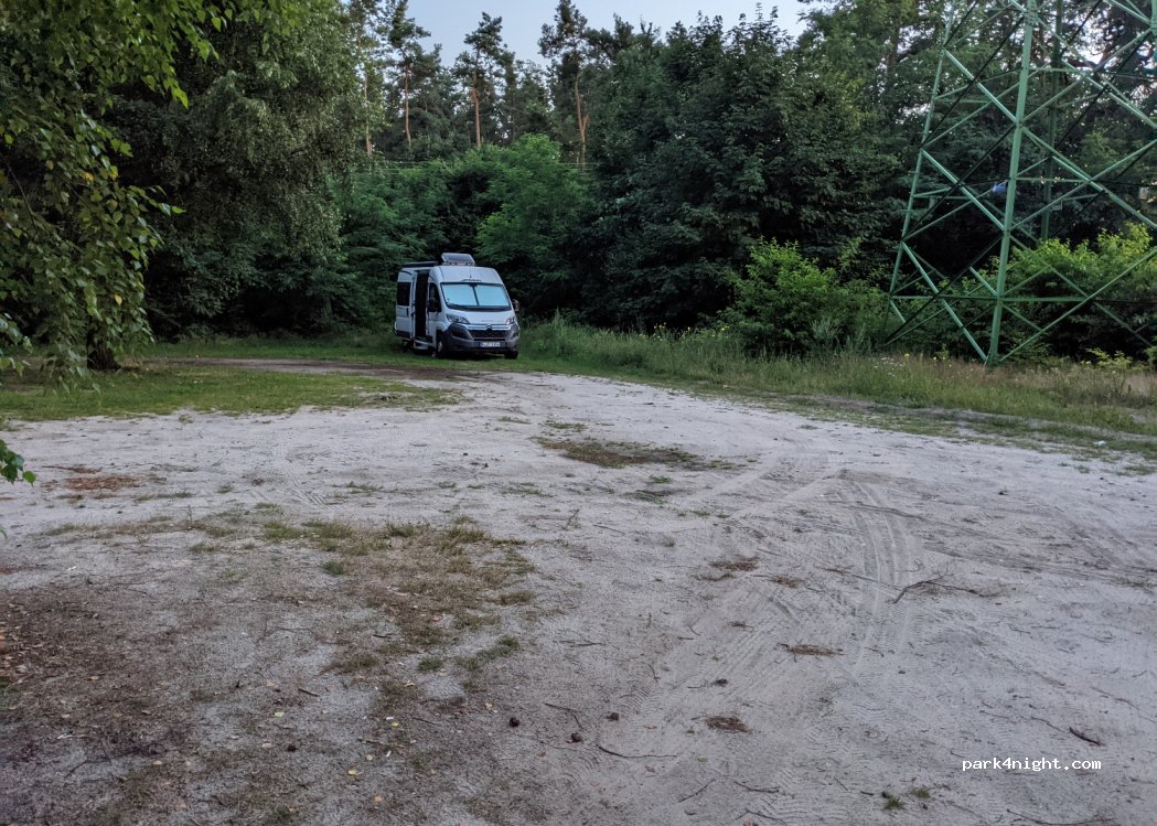 (97-330) Włodzimierzów - 34 Sosnowa — foto