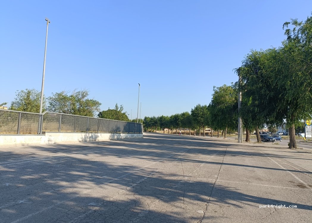 (71042) Cerignola - 6 Via dei Salici — foto 3