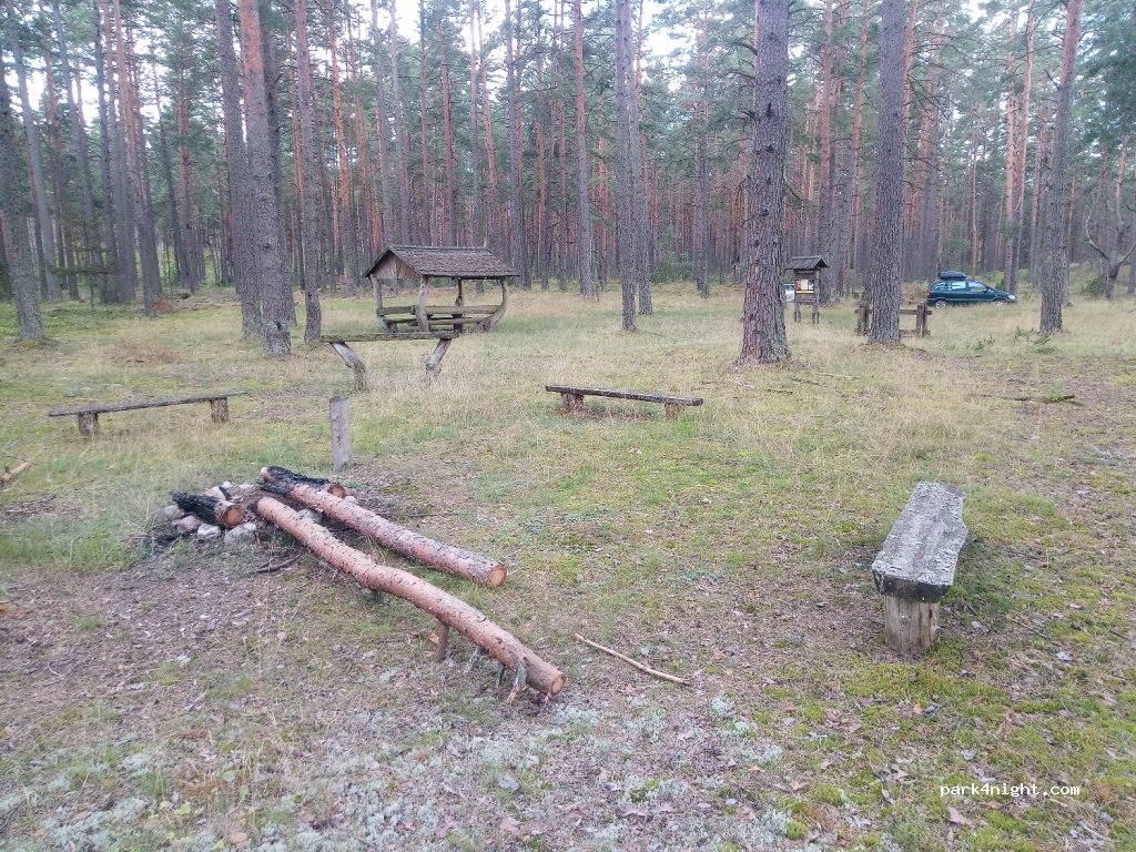 (65273) Marcinkonys - Unnamed Road — foto