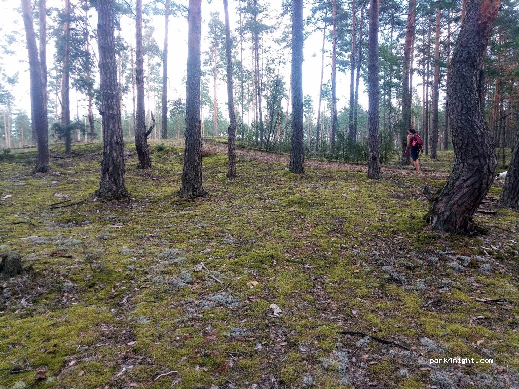 (65273) Marcinkonys - Unnamed Road — foto 2