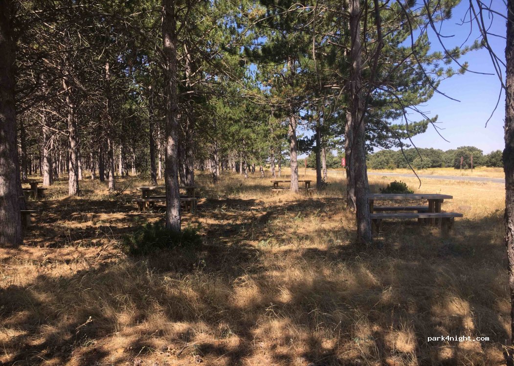 (40529) Corral de Ayllón - Carretera Saldaña — foto