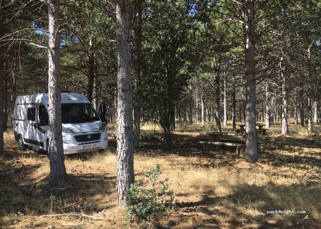 (40529) Corral de Ayllón - Carretera Saldaña — foto 2