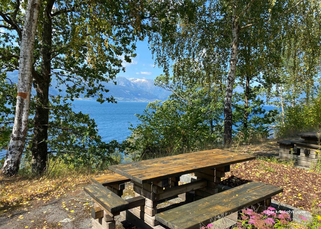 (6894) Vangsnes - 207 Riksveg 13 — foto 2