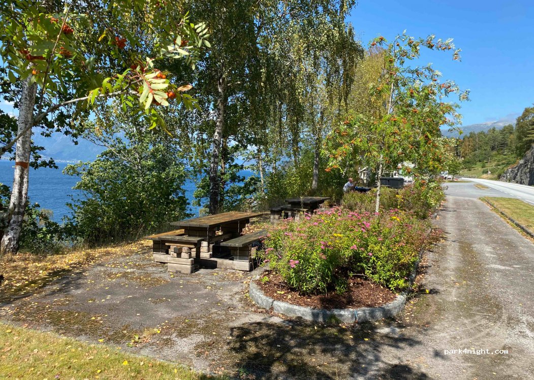 (6894) Vangsnes - 207 Riksveg 13 — foto 3