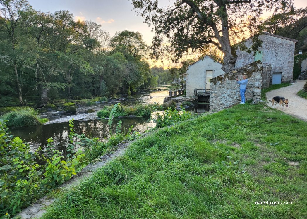 (85290) Mortagne-sur-Sèvre - Jousseaume — foto 2