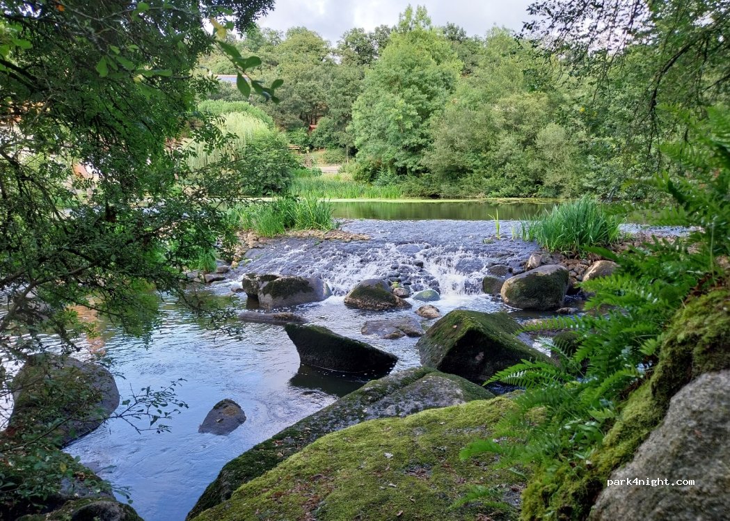 (85290) Mortagne-sur-Sèvre - Jousseaume — foto 4