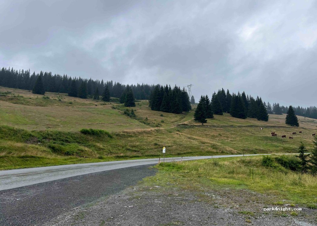 (74110) Morzine - Route d'Avoriaz — foto 3