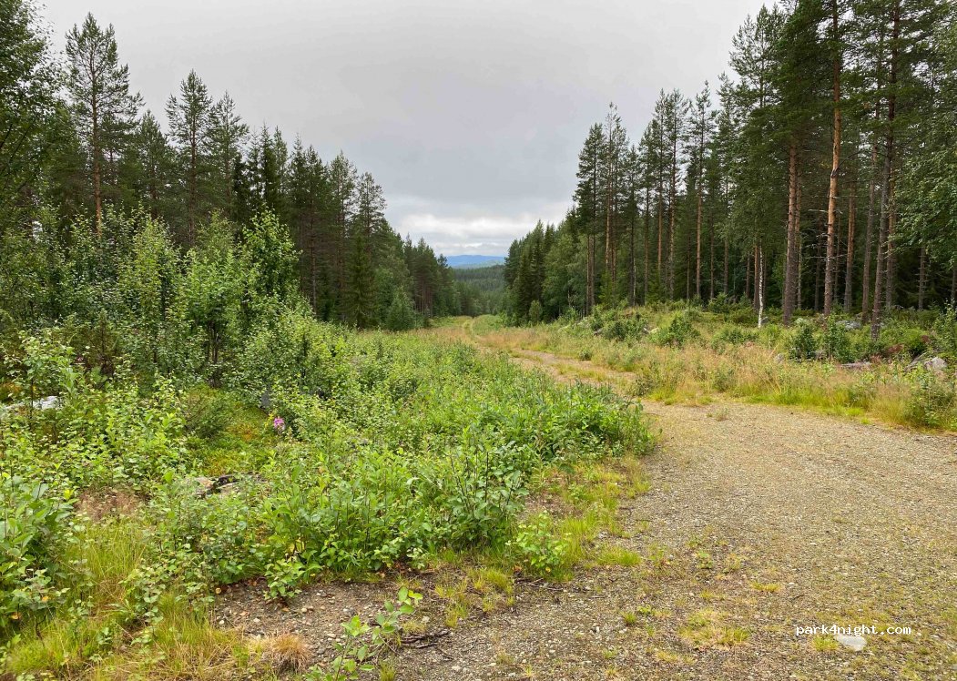 (833 98) Gäddede - Unnamed Road — foto