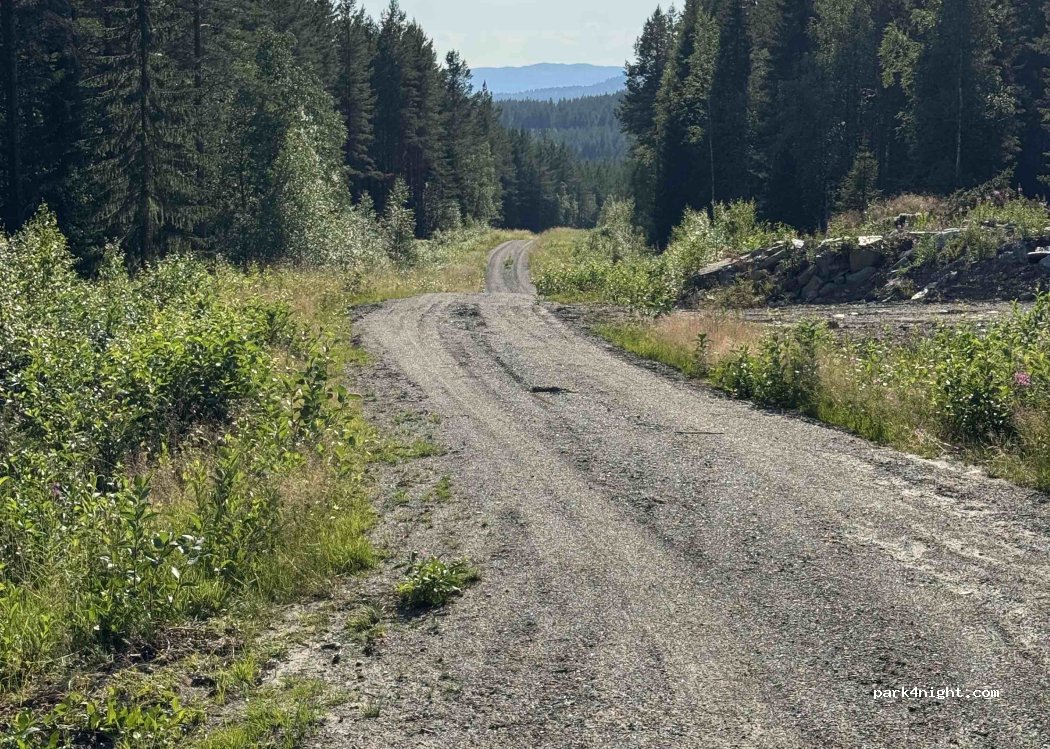 (833 98) Gäddede - Unnamed Road — foto 3