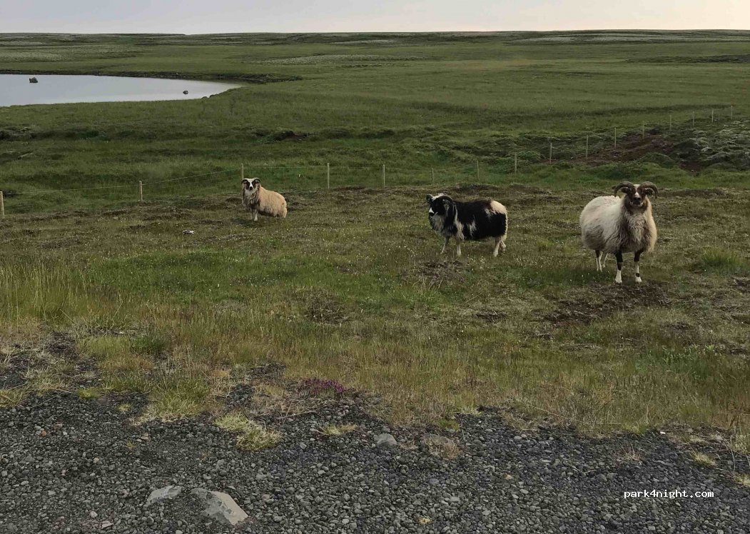 ()  - Þingvallavegur — foto