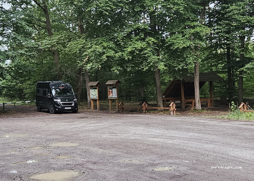 (37-400) Nisko - — foto